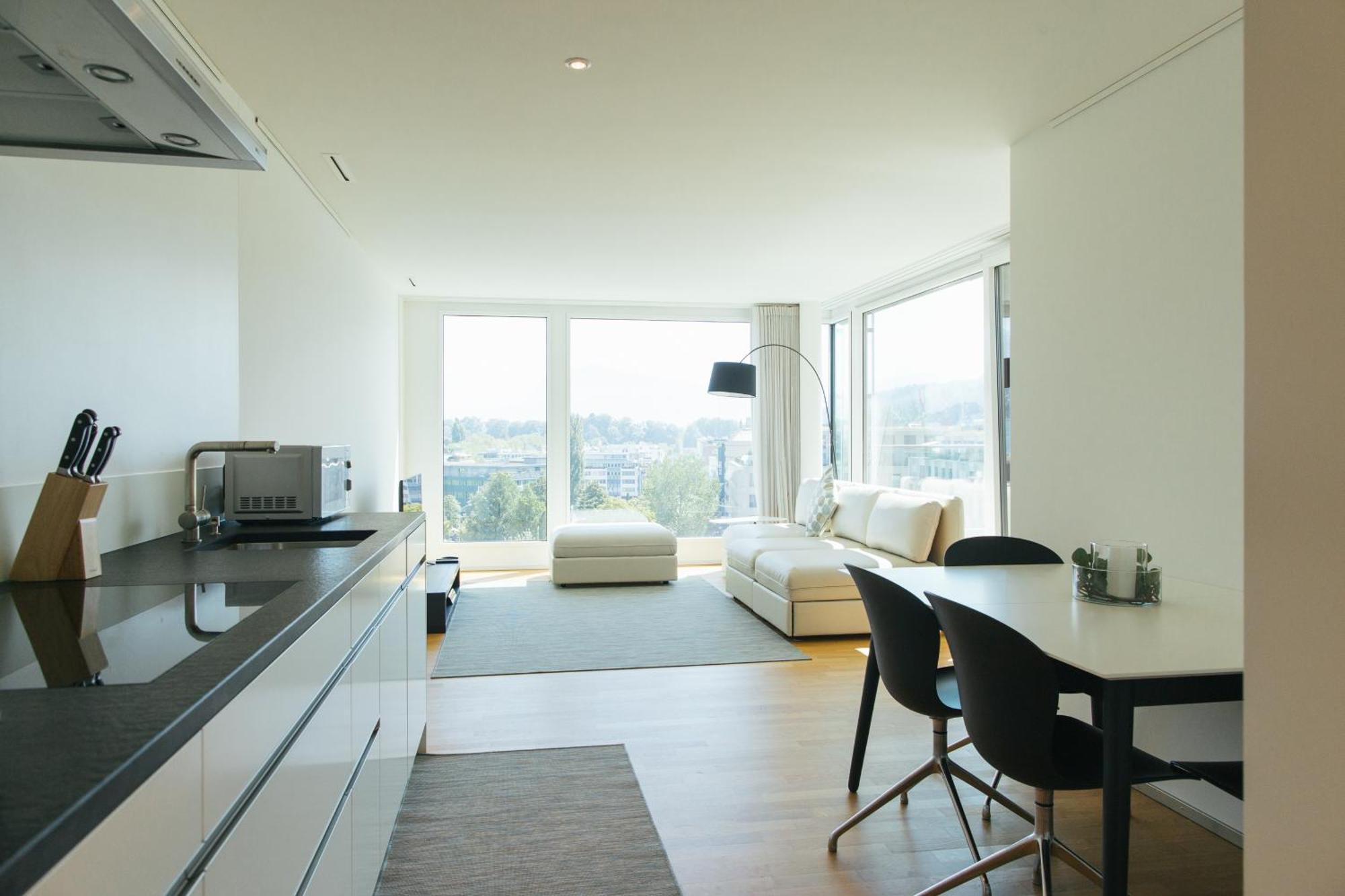 Apartment Penthouse Lakeside